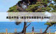 美签大学生（美签学生需要带什么材料）
