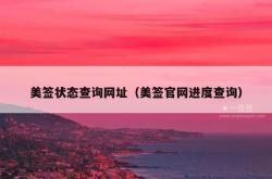 美签状态查询网址（美签官网进度查询）