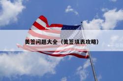 美签问题大全（美签填表攻略）