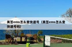 美签ems怎么查快递号（美签ems怎么查快递号码）