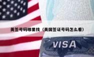 美签号码哪里找（美国签证号码怎么看）