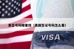 美签号码哪里找（美国签证号码怎么看）