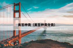 美签种类（美签种类分类）