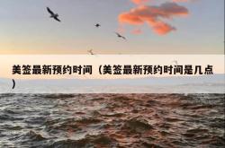 美签最新预约时间（美签最新预约时间是几点）