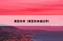 美签白单（美签白本通过率）