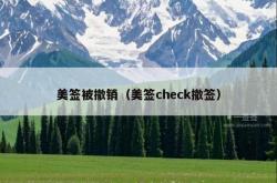 美签被撤销（美签check撤签）