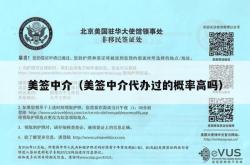 美签中介（美签中介代办过的概率高吗）