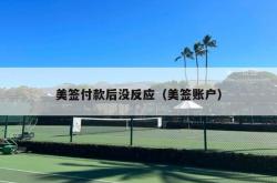 美签付款后没反应（美签账户）