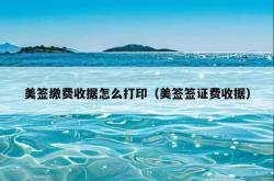美签缴费收据怎么打印（美签签证费收据）