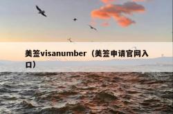 美签visanumber（美签申请官网入口）