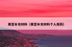 美签补充材料（美签补充材料个人简历）