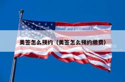 美签怎么预约（美签怎么预约缴费）