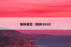 柏林美签（柏林2020）