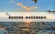 美签拒签原因（美签拒签原因查询）