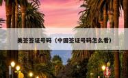 美签签证号码（中国签证号码怎么看）