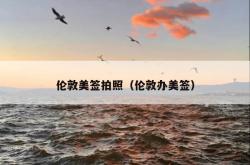 伦敦美签拍照（伦敦办美签）