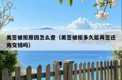 美签被拒原因怎么查（美签被拒多久能再签还用交钱吗）