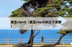 美签check（美签check的三个步骤）