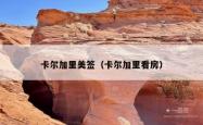 卡尔加里美签（卡尔加里看房）