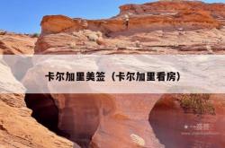 卡尔加里美签（卡尔加里看房）
