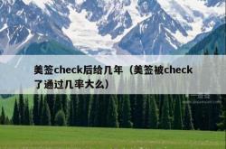 美签check后给几年（美签被check了通过几率大么）
