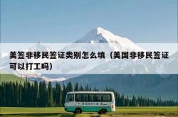 美签非移民签证类别怎么填（美国非移民签证可以打工吗）