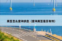 美签怎么查询状态（查询美签是否有效）