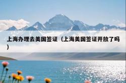 上海办理去美国签证（上海美国签证开放了吗）