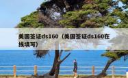 美国签证ds160（美国签证ds160在线填写）
