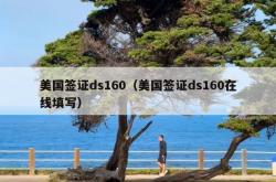 美国签证ds160（美国签证ds160在线填写）