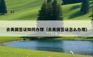 去美国签证如何办理（去美国签证怎么办理）
