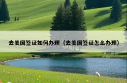 去美国签证如何办理（去美国签证怎么办理）