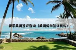 留学美国签证咨询（美国留学签证机构）