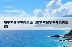 加拿大留学生办美签（加拿大留学生办美国签证）