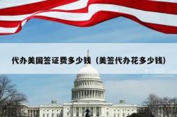 代办美国签证费多少钱（美签代办花多少钱）