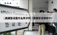 美国签证是什么样子的（美国签证啥样子）
