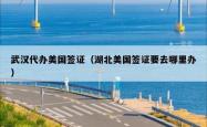 武汉代办美国签证（湖北美国签证要去哪里办）