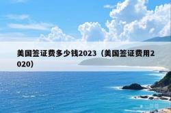 美国签证费多少钱2023（美国签证费用2020）
