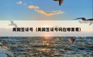 美国签证号（美国签证号码在哪里看）