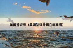 美国签证号（美国签证号码在哪里看）