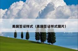 美国签证样式（美国签证样式图片）
