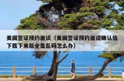 美国签证预约面谈（美国签证预约面谈确认信下载下来后全是乱码怎么办）