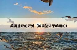 美国签证的好处（美国签证干嘛用的）