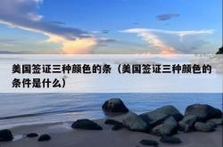 美国签证三种颜色的条（美国签证三种颜色的条件是什么）
