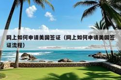 网上如何申请美国签证（网上如何申请美国签证流程）