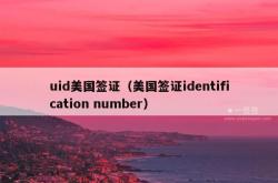 uid美国签证（美国签证identification number）