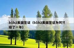 b1b2美国签证（b1b2美国签证为何只给了一年）
