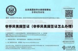 非移民美国签证（非移民美国签证怎么办理）
