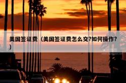 美国签证费（美国签证费怎么交?如何操作?）