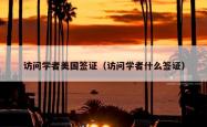 访问学者美国签证（访问学者什么签证）